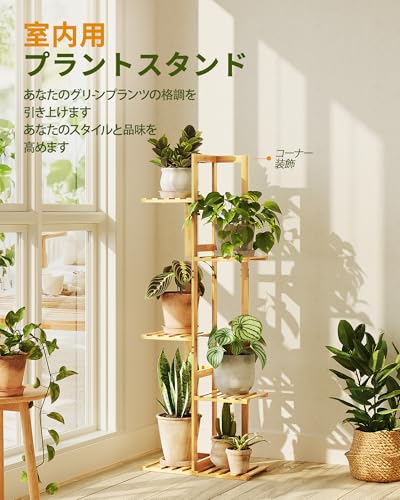 Bamworld �ե�������� 5�� ���տ�ʪ �� �ץ�󥿡�������� ���� ���� ���� �����ǥ��å� ���տ�ʪ ê �ץ�󥿡���å� ��