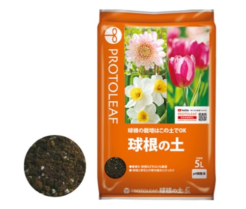 �ץ��ȥ꡼�� �庬���� 5��åȥ�