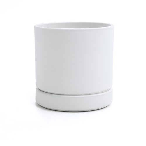 Greenship 植木鉢 受け皿付き 5号（15.8CM） マット質感なオシャレ鉢 エコ素材 白灰色 白灰色 5号