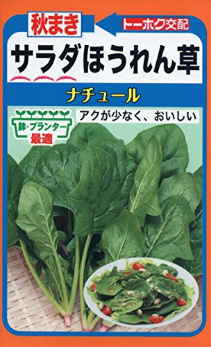 株式会社トーホク 秋まきサラダほうれん草 ナチュール 04732