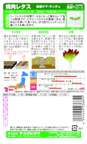 �º���� �쥿�� �����쥿�� ���ե��ޡ�������� ����003038