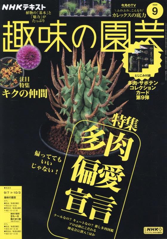 NHKテキスト趣味の園芸 2025年 09 月号 雑誌