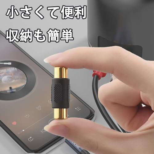 LeTradeJP RCA 延長アダプタ 10個セット 延長コネクタ メスメス 中継 コネクタ プ...