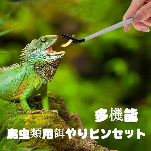 ������� �¤��ԥ󥻥å� 2�ĥ��å� ���ƥ�쥹�� ���� �ԥ󥻥å�Ĺ��27cm ���ȥ졼�ȡ������֥����� ������å��դ� �ҥ祦���ȥ�����