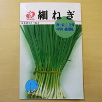 細ねぎ 種 固定種 ネギ 青ネギ 野菜 種子 追跡可能メール便選択可