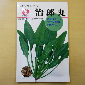 【ゆうメール選択可】ほうれんそう 治郎丸 種 固定種 ホウレンソウ ほうれん草 種子