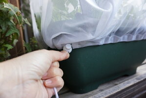 楽天市場 虫よけネット 支柱付き 防虫ネット 虫よけセット プランター 虫除け 防虫カバー 防鳥ネット 青虫よけ プランターカバー ネット ガーデニング雑貨 Nicoco プランター菜園を楽しむ会 楽天市場 虫よけネット 支柱付き 防虫ネット 虫よけセット プランター 虫除け 防虫カバー 防鳥ネット 青虫よけ プランターカバー ネット ガーデニング雑貨 Nicoco プランター菜園を楽しむ会