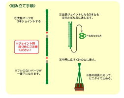 楽天市場 トマト支柱セット 11f 180ｃｍ ３本分 ３本を継いで組み立て式 合計９本入り 支柱 園芸 支柱 トマト 支柱 ミニトマト 支柱 180ｃｍ 支柱 1800ｍｍ 園芸用支柱 家庭菜園 支柱 Nicoco プランター菜園を楽しむ会