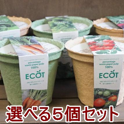 野菜 栽培セット 選べる5個セット 栽培キット エコットM5個 エコポット おうち時間 家庭菜園 ベ ...