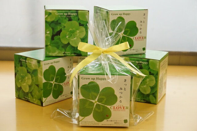 四つ葉 栽培セット 四葉のクローバー栽培セット 栽培キット プレゼント 誕生日 ギフト 母の日 父の日 バレンタイン ホワイトデー 敬老の日 ガーデニング雑貨格安通販　バレンタイン　人気　ランキング