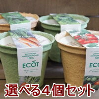 野菜 栽培セット 選べる4個セット エコットM4個 エコポット おうち時間 栽培キット 家庭菜園 ベランダ菜園 エコ プレゼント 誕生日 母の日 父の日 敬老の日 土に還る鉢 ガーデニング雑貨 送料込