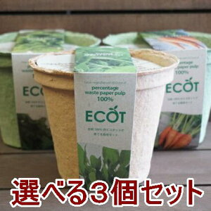 野菜 栽培セット 選べる3個セット 栽培キット エコットM3個 国産 エコポット おうち時間 家庭菜園 ベランダ菜園 プレゼント 誕生日 父の日 土に還る 敬老の日 ガーデニング雑貨 送料込