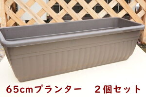 2個セット NBプランター ダークブラウン 65cm プランター 長方形 横長 65cm スノコ付き おしゃれ　標準プランター チューリップ ビオラ パンジー