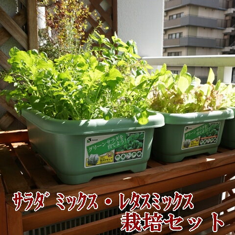 有機種子で育てる野菜の栽培セットベ...