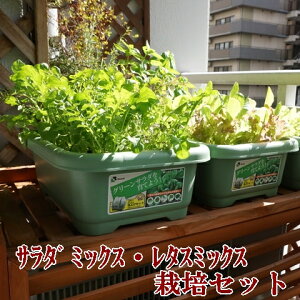 有機種子で育てる野菜の栽培セット サラダミックス レタスミックス 栽培セット 栽培キット ベビーリーフ 野菜 家庭菜園キット 家庭菜園セット プランター菜園 ベランダ菜園 家庭菜園 プランター タキイ最高級培養土 オーガニック野菜 キット セット プレゼント 誕生日 送料込