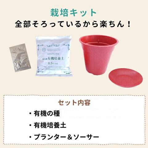 �������˥å����ݥ��å� ���٤�3�ĥ��å� ���٤ƥ������˥å��ʺ��ݥ��å� ���ݥ��å� �鿴�� �ڤ˴Ԥ�ȭ �����ݥå� �ߥ˥ȥޥ� �Х��� �Ĥ��� �ͥ� �����ڱ� �٥����ڱ� ���� ���β��� ���ȥ쥹�ڸ� �¿� �ڱॻ��ԡ� �ץ쥼��� ������ ����� ����� ������