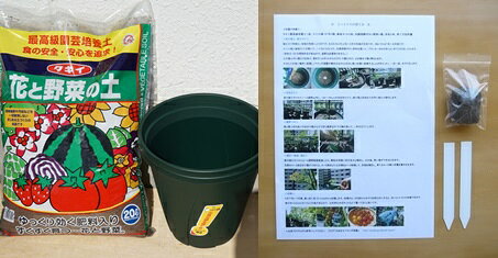 楽天市場 ミニトマト栽培準備品セット 支柱付き ミニトマト２本分の土と鉢のセット 鉢底ネット 肥料 名札 育て方付き タキイ 土 スリット鉢 ミニトマト 栽培セット 家庭菜園 ベランダ菜園 プランター菜園 ミニトマト 送料込 Nicoco プランター菜園を楽しむ会