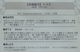 有機種子固定種トマト種中玉トマトマティナ種子グリーンフィールドプロジェクト【ゆうメール選択可】