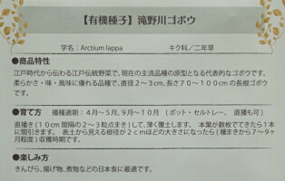 楽天市場 有機種子 固定種 滝野川ゴボウ 種 ごぼう 在来種 野菜 種子 オーガニック グリーンフィールドプロジェクト 追跡可能メール便選択可 Nicoco プランター菜園を楽しむ会 楽天市場 有機種子 固定種 滝野川ゴボウ 種 ごぼう 在来種 野菜 種子 オーガニック グリーンフィールドプロジェクト 追跡可能メール便選択可 Nicoco プランター菜園を楽しむ会