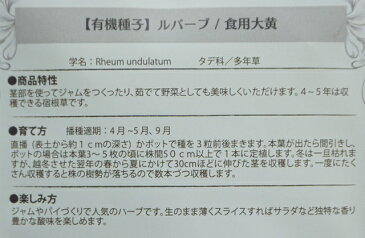 有機種子 固定種 ルバーブ 食用大黄 種 ハーブ 種子 オーガニック グリーンフィールドプロジェクト 追跡可能メール便選択可