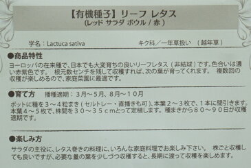 有機種子 固定種 リーフレタス レッドサラダボウル 赤 種 野菜 種子 オーガニック グリーンフィールドプロジェクト 追跡可能メール便選択可【小袋】