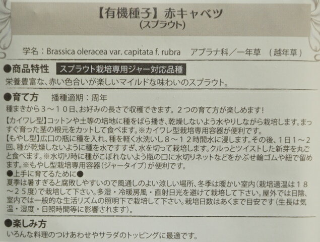 ͭ����� ����� �֥���٥� ���ץ饦�� 11g �� ȯ����� ���������� �ȱ���UP �ޥ��������꡼�� ��� �������˥å� ���꡼��ե�����ɥץ��������� ���ײ�ǽ�᡼��������� �ھ��ޡۡ�2026ǯ11����¡�