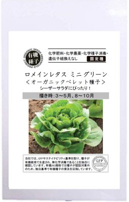 有機種子 固定種 ロメインレタス ミニグリーン オーガニックペレット 35粒 種 野菜 種子 オーガニック グリーンフィールドプロジェクト 追跡可能メール便選択可【2024年11月期限】