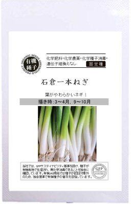 有機種子 固定種 石倉一本ねぎ 1g 種 野菜 ネギ 種子 オーガニック グリーンフィールドプロジェクト 追跡可能メール便選択可【2024年11月期限】