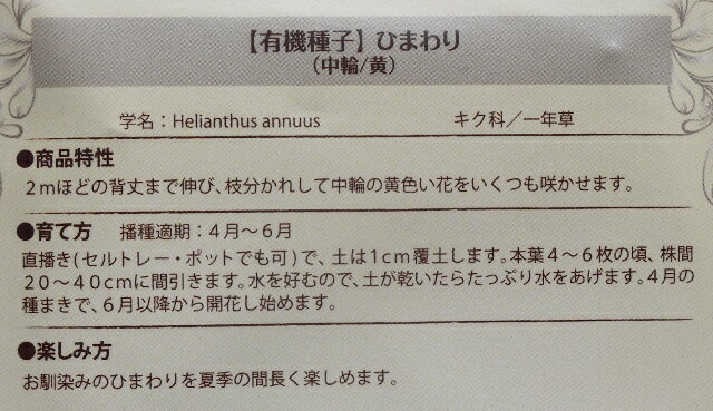 固定種 ひまわり 60粒 種 中輪 黄 ヒマワリ 種子 花 オーガニック グリーンフィー...
