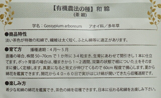 有機種子 固定種 和綿 わめん 15粒 種 茶綿 綿 種子 オーガニック グリーンフィー...