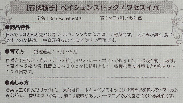 有機種子 固定種 ペイシェンスドック ワセスイバ 0.2g 種 オゼイユ ハーブ 種子 オ...