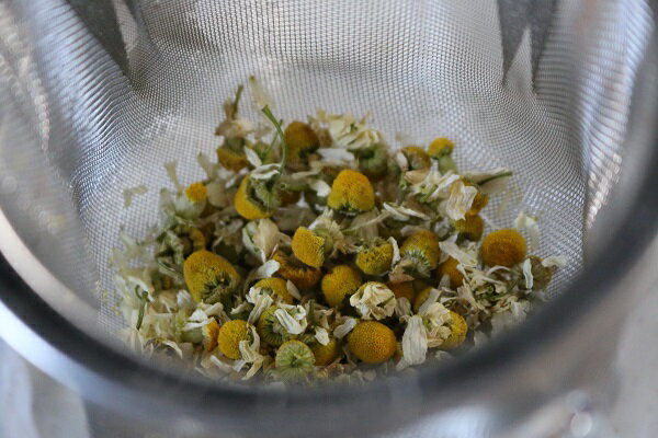 ͭ����� ����� ���㡼�ޥ󥫥�ߡ��� 0.25g �� ����ߡ��� �ϡ��� ��� �������˥å� ���꡼��ե�����ɥץ��������� ���ײ�ǽ�᡼��������ġ�2026ǯ11����¡�