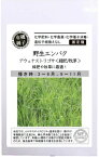 有機種子 固定種 野生エンバク 16g 種 アウェナストリゴサ 緑肥/牧草 野菜 種子 オーガニック グリーンフィールドプロジェクト 追跡可能メール便選択可【小袋】【2024年11月期限】