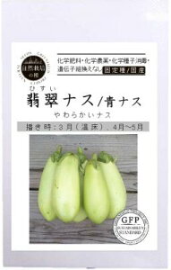無農薬 自然栽培の種 固定種 翡翠ナス 青ナス 40粒 種 在来種 国産 種子 青なす 翡翠なす オーガニック グリーンフィールドプロジェクト 追跡可能メール便選択可【小袋】【2025年11月期限】