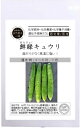 自然農法の種 固定種 鮮緑キュウリ 8粒 有機栽培の種 きゅうり 国産 野菜 種子 オーガニック グリーンフィールドプロジェクト 追跡可能メール便選択可【2024年11月期限】