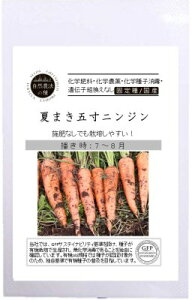 有機種子 固定種 夏まき五寸ニンジン 0.7g 有機栽培の種 にんじん 種 国産 野菜 種子 オーガニック グリーンフィールドプロジェクト 追跡可能メール便選択可【2026年5月期限】