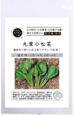 有機種子 固定種 丸葉小松菜 0.6g 自然栽培の種 コマツナ 種 国産 野菜 種子 オーガニック グリーンフィールドプロジェクト 追跡可能メール便選択可【2023年5月期限】