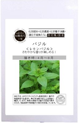 レモンバジル(有機種子 固定種)