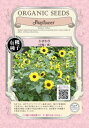固定種 ひまわり 60粒 種 中輪 黄 ヒマワリ 種子 花 オーガニック グリーンフィールドプロジェクト 追跡可能メール便選択可【2025年11月期限】