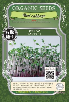 有機種子 固定種 赤キャベツ スプラウト 40g 種 発芽野菜 おうち時間 免疫力UP マイクログリーン 種子 オーガニック グリーンフィールドプロジェクト 追跡可能メール便選択可 