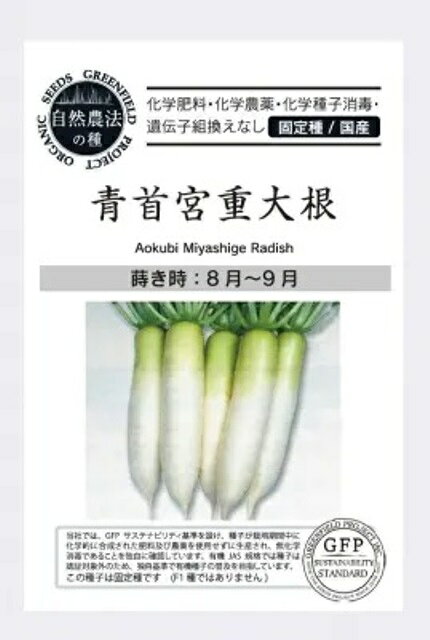 有機種子 固定種 青首宮重大根 40粒 種 大根 在来種 野菜 種子 ダイコン 青首大根 オーガニック グリーンフィールドプロジェクト 追跡可能メール便選択可【小袋】【2027年5月期限】