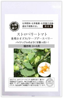 有機種子 固定種 ストロベリートマト 食用ホオズキ 10粒 種 ケープグースベリー ほおずき 野菜 種子 オーガニック グリーンフィールドプロジェクト 追跡可能メール便選択可