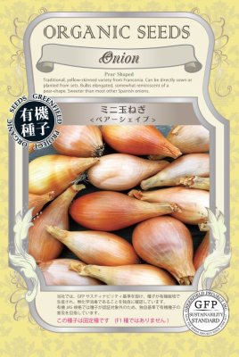 有機種子 固定種 ミニ玉ねぎ ペアーシェイプ 0.8g 種 野菜 種子 オーガニック グリーンフィールドプロジェクト 追跡可能メール便選択可