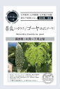 ゴーヤー(有機種子 / 固定種)