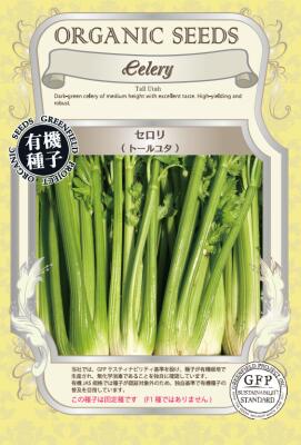 セロリ(有機種子 固定種)