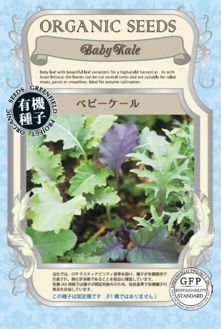 有機種子 固定種 ベビーケール 0.6g 種 野菜 種子 オーガニック グリーンフィールドプロジェクト 追跡可能メール便選択可【2026年11月期限】