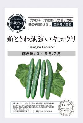 有機種子 固定種 きゅうり 新ときわ地這いキュウリ 種 25粒 キュウリ 国産 野菜 種子 オーガニック グリーンフィールドプロジェクト 追跡可能メール便選択可【小袋】【2026年11月期限】