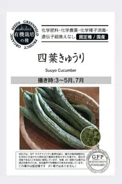 有機種子 固定種 きゅうり 四葉きゅうり 種 12粒 キュウリ 国産 野菜 種子 オーガニック グリーンフィールドプロジェクト 追跡可能メール便選択可【小袋】【2026年11月期限】
