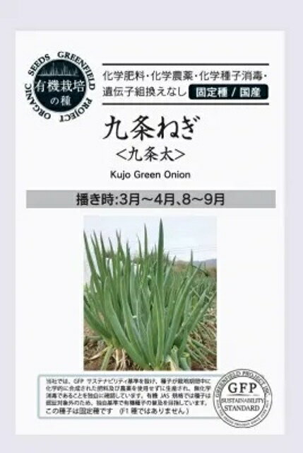 楽天市場】苗 ねぎ 九条太の通販