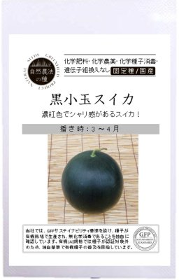 自然農法の種 有機種子 固定種 黒小玉スイカ 10粒 種 国産 自然栽培 野菜 種子 オーガニック グリーンフィールドプロジェクト 追跡可能メール便選択可【2024年11月期限】